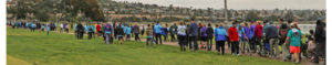 SDBIF surviveHEADSTRONG walk for brain injury recovery
