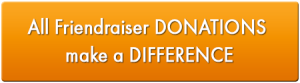 SDBIF Friendraiser Donation Button
