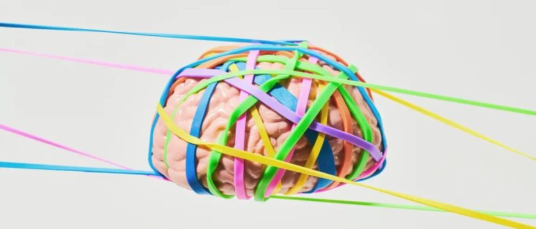 Brain wrapped in rubbberbands to demonstrate neuroplasticity