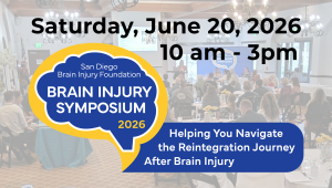SDBIF Brain Injury Symposium project banner